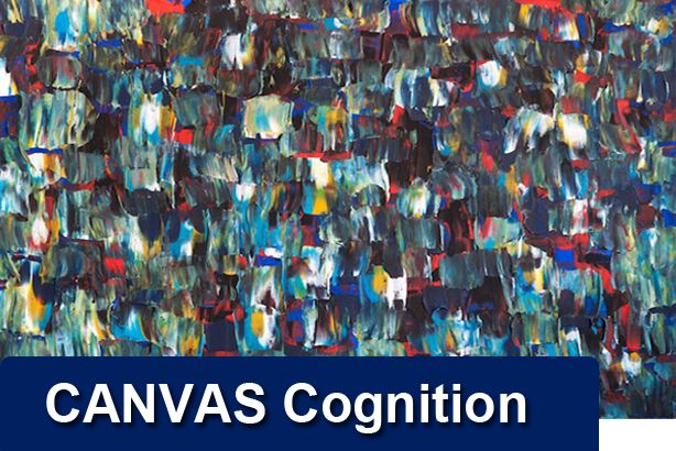 CANVAS Cognition