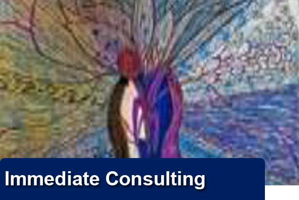 Immediate Consulting
