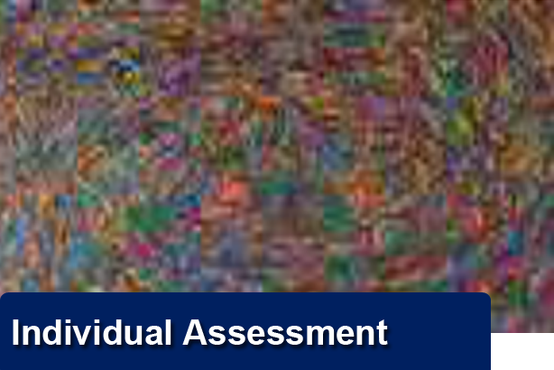 Individual Assessment 1