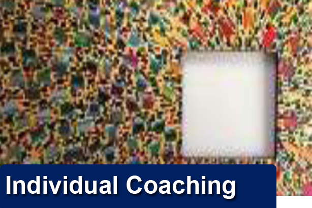 Individual Coaching