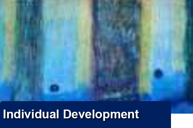 Individual