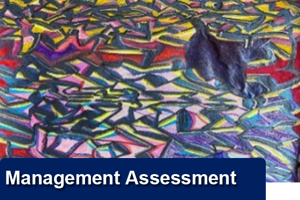 Management Assessment 1