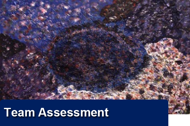 Team Assessment 1
