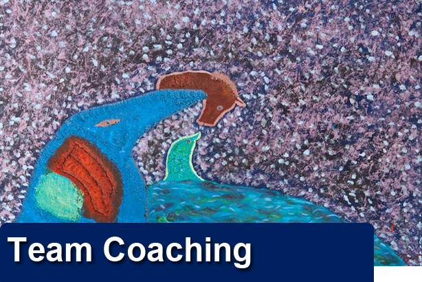 Team Coaching